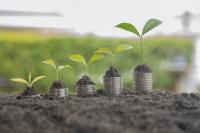 Concept d’investissement responsable avec des plantes poussant sur des pièces 