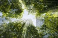 Paysage urbain durable fait d’immeubles et d’arbres