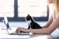Femme travaillant à domicile sur son ordinateur avec son chat